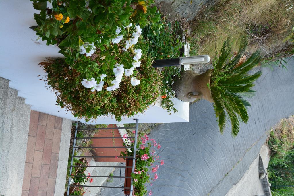 B&B La Casa Rossa Paola Luaran gambar
